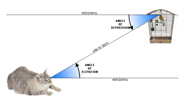 angle of elevation and depression