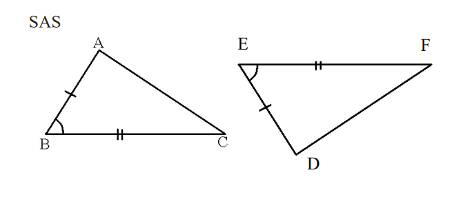 congruent triangles SAS
