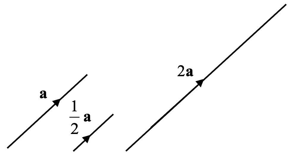 Scalar Multiplication