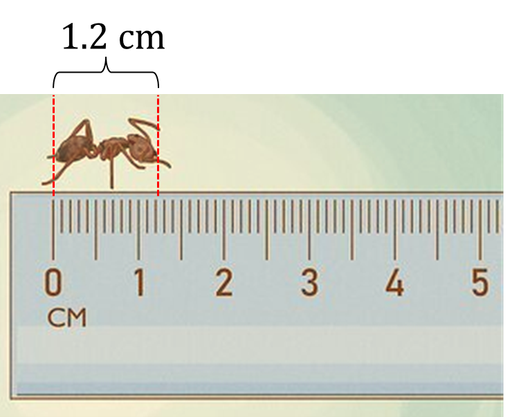 P4 Decimals - Tenths